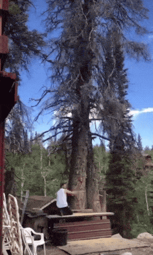054e6baed825e9f8adab98f5d266b6f6.gif