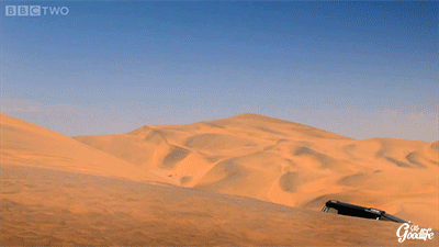 tumblr_n91k8k0NAh1rnxnyyo2_400.gif
