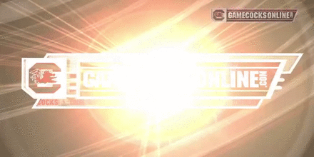 Dawn_Staley_Gamecocks_Spring_Game_2014.gif