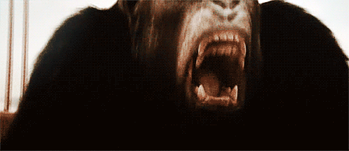 tumblr_lpknebMgYv1qflan8o1_500.gif