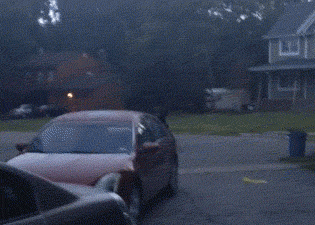 bearwalkinginhoodm3FkBsT.gif