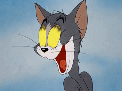 ca7654ed3acbfcff57bf387aca4efe36.gif