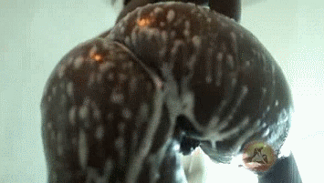dd.gif