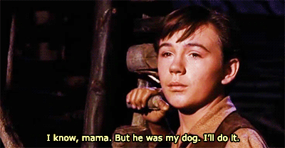 tumblr_ozfadtirQt1u501aoo4_400.gif