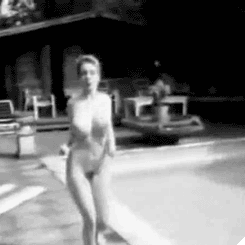 tumblr_ny85v7KTT51uqjg4so1_250.gif