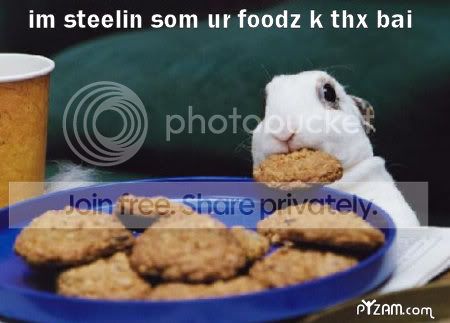 stealinurfoods.jpg