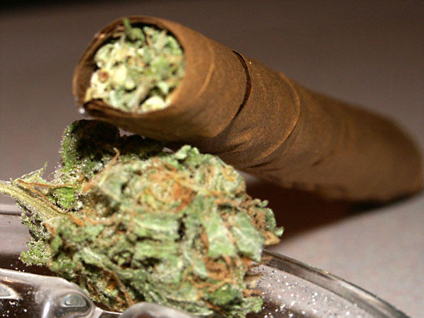 filepicker%2FKglttkF7S4KbN7cYcpAG_blunt.jpg