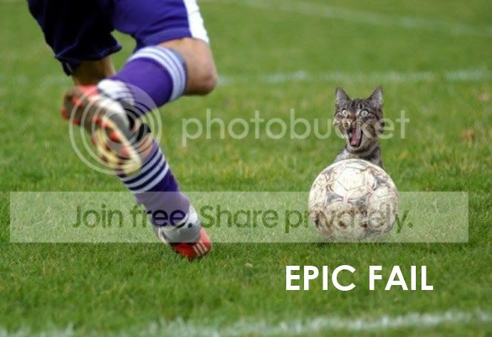 f-Funny-Cat-3539_FAIL.jpg