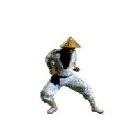 Raid11.gif