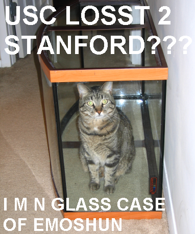stanford-cat2.png