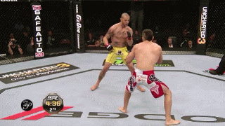 2.gif
