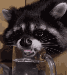 e6ae72f8908be5799bc278a53f250bb3.gif