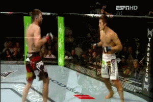 10001907.gif