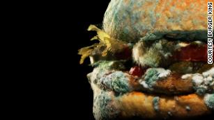 Burger King's moldy Whopper