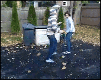 Kick-2.gif