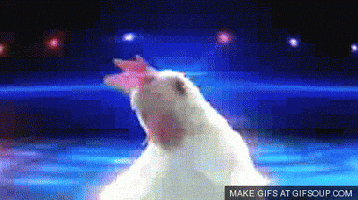 200.gif