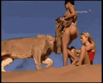 19363572_tumblr_mi984i6UYC1r50fpao1_400.gif