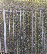 tumblr_o96ttcYbJc1vospf1o1_250.gif