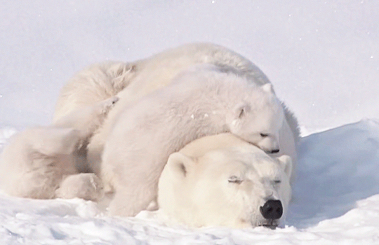 4bc329fdf56ca5723076dcec1f5a6970.gif