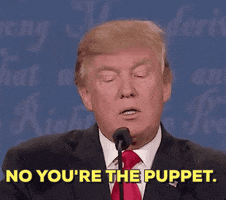200_s.gif