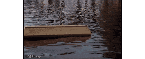 tumblr_m6f5y0xs0u1qdlh1io2_500.gif