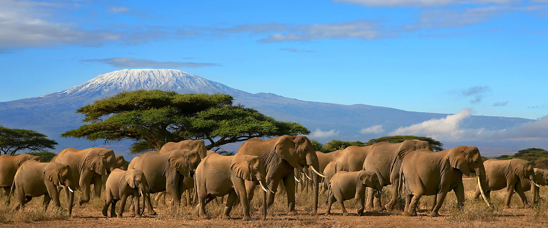 climb-kilimanjaro.jpg