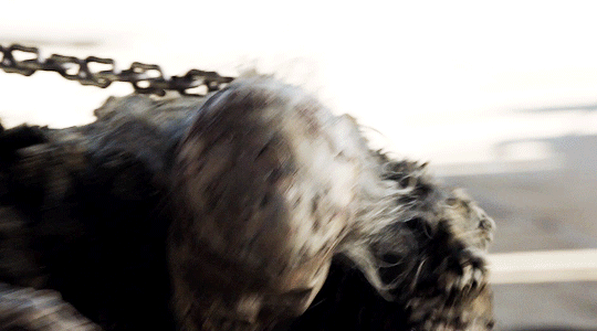 tumblr_ovdn3bty5S1s95j2so1_540.gif