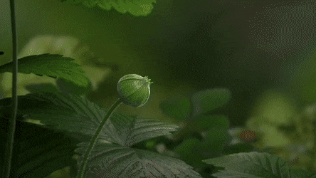 8660f9dd7c82ef25cdb7975a806edc07be20aa59.gif