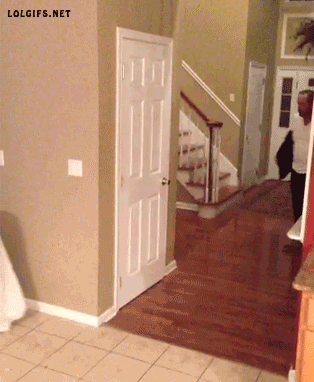 tumblr_n1zlga9fak1r3gb3zo1_400.gif