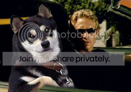 fastfuriest.jpg