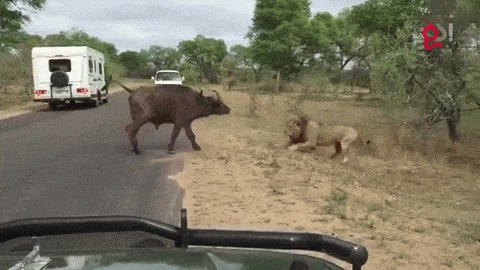 3feb4517a8e37a5c9101c26cff4422af.gif