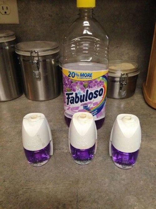 Fabuloso in Empty Plug Ins