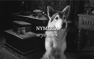tumblr_o8v4y2WVho1u79aijo3_400.gif