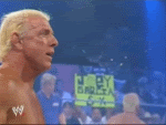 RicFlair13.gif