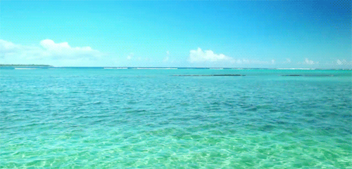tumblr_n5kncafJVQ1qmd3sto1_500.gif