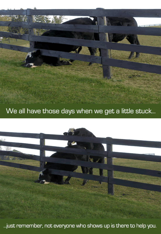 fkked2.gif