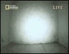 probe3.gif