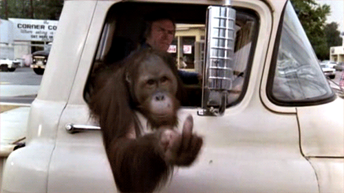 tumblr_oqg21aOBu71ubfgh6o1_500.gif