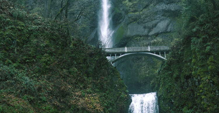 tumblr_oh2ahdiihX1qkprgpo1_1280.gif