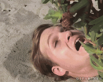 tumblr_mssx5wLEOr1s2yegdo1_400.gif