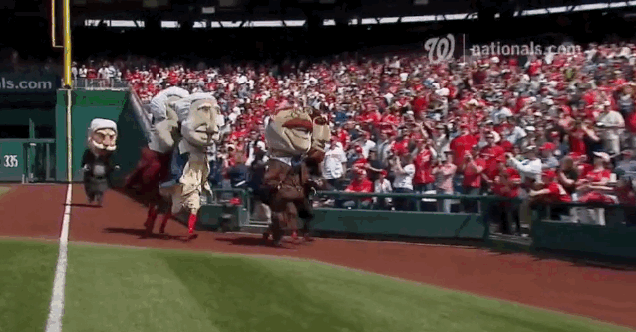 bunny-attack-prez.gif