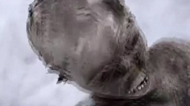 video-undefined-26654F9000000578-502_636x356.jpg