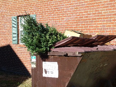 Tree%20in%20Trash(net).jpg