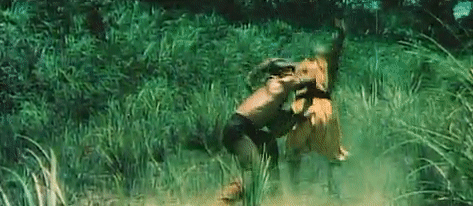 tumblr_p7skha1Ehu1v6w3juo4_500.gif
