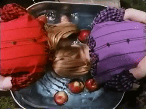 giphy.gif