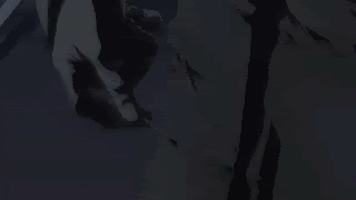 AfroSamurai.gif