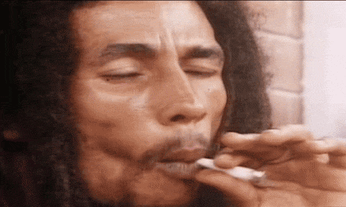 tumblr_mv5gnpYNeq1qmhggvo1_500.gif