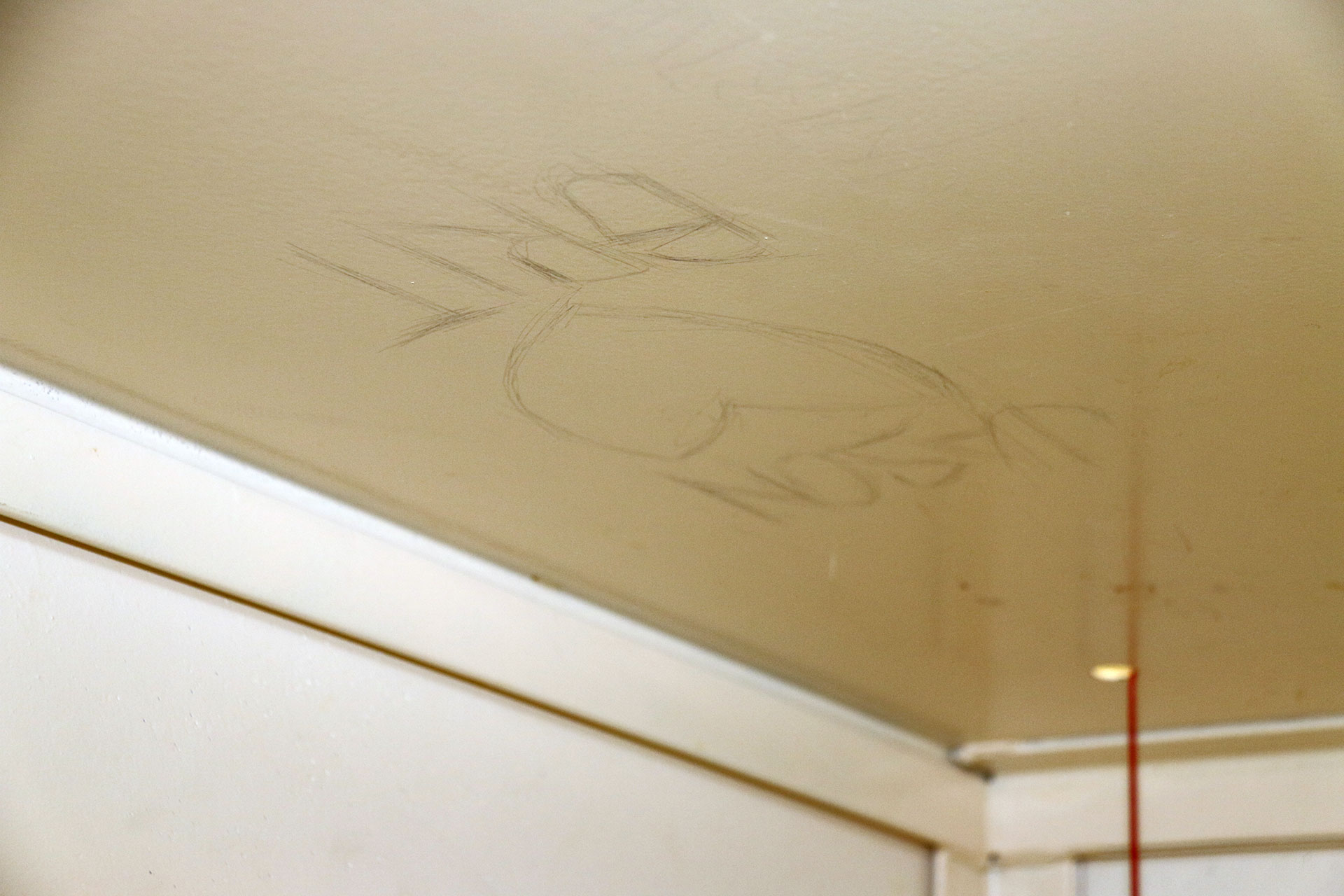 ceiling.jpg