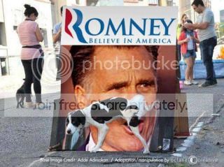 romney-dog-pee.jpg