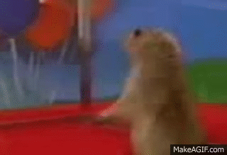 hhYRUB.gif